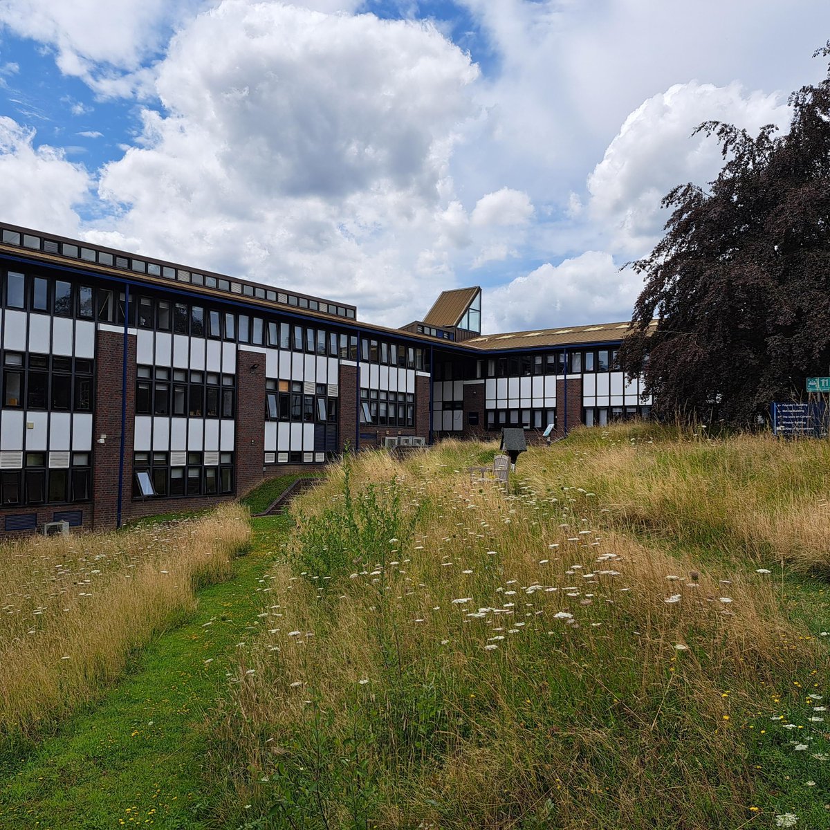 RHUL_Library's tweet photo. July's #ExploreYourArchive theme from @explorearchives is all about space! This month we are taking a look at Sir William McCrea, a mathematician and astronomer who has a building named in his honour at Royal Holloway. #EYAspace https://t.co/pjQ0Gh9sjl