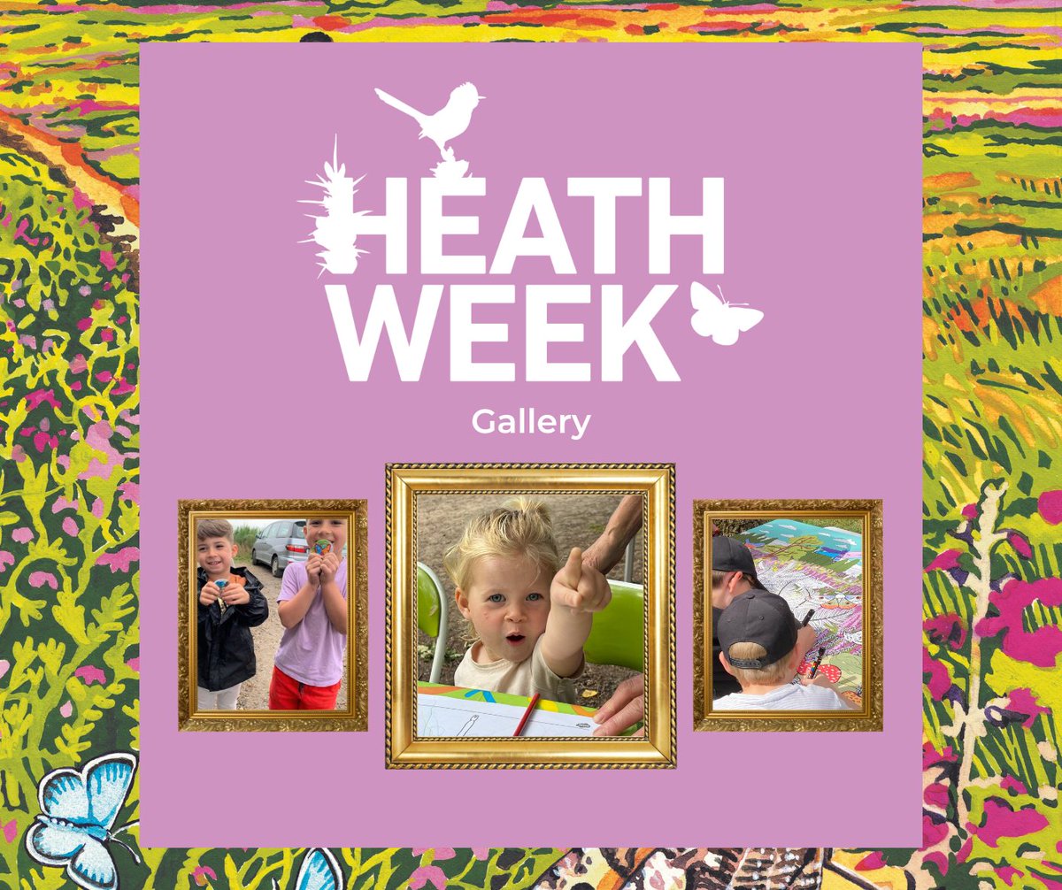 Thames Basin Heaths Partnership tweet media