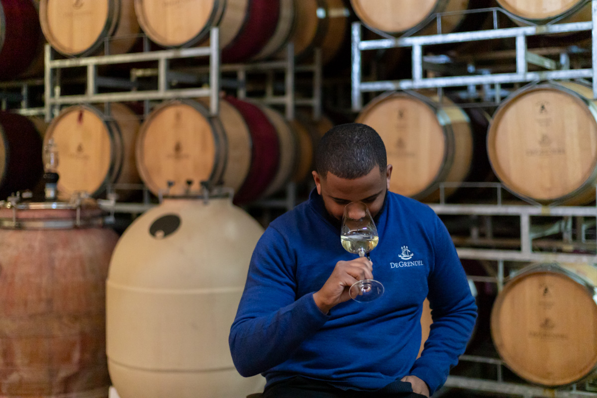 Our Winemaker, Morgan, is very excited about the recent release of our Sauvignon Blanc 2023 🥭 This highly-anticipated new vintage is available for purchase at our Tasting Room, Restaurant and online at degrendel.co.za 🛒