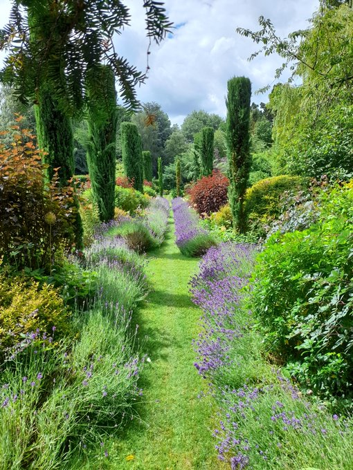 Come and visit the Bishop of St Albans' Hidden Garden on Sun 30th July and 6th Aug, 2pm - 4pm, Abbey Gate House, Abbey Mill Lane, St Albans, AL3 4HD. Entrance: £4. Two acres of tranquility in the heart of the city - the last two opening days this summer, so don't miss out!