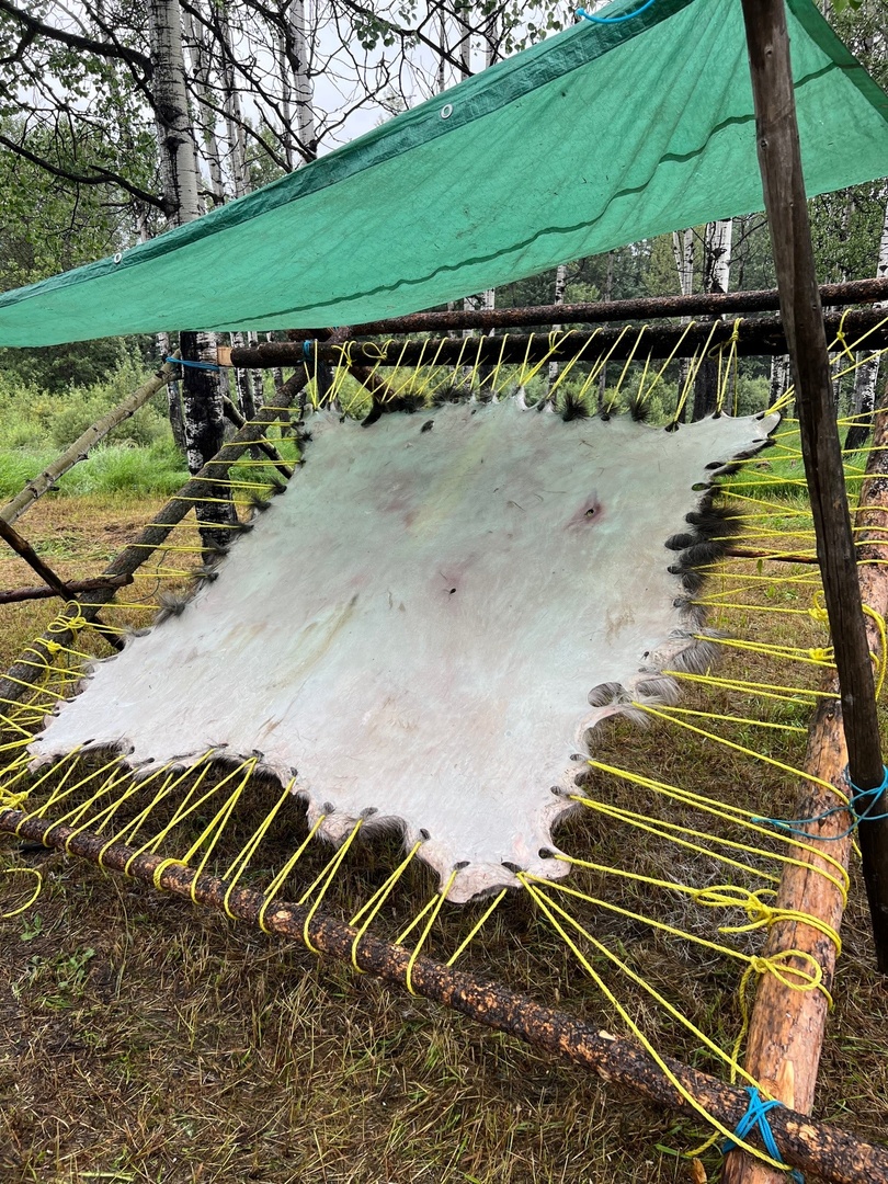 Last week, members of our Cahill West team had the opportunity to travel to &amp; attend the Blueberry River First Nations Cultural Camp in Pink Mountain, BC.

Throughout the week, they spent time learning &amp; participating in traditional cultural activities on traditional territory.