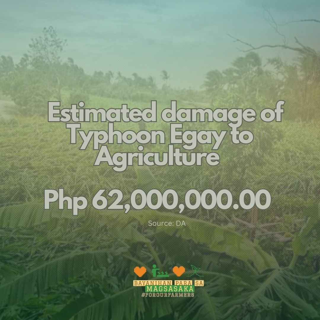 forourfarmers's tweet photo. 🚨 Urgent Call for Help! 🚨
Typhoon Egay has left a devastating mark on the agriculture sector, causing an estimated Php 62,000,000 in damages. But behind this figure are countless farmers who have lost their only source of livelihood.

#ProjectSagip #EgayPH https://t.co/HMCXuLI1xi