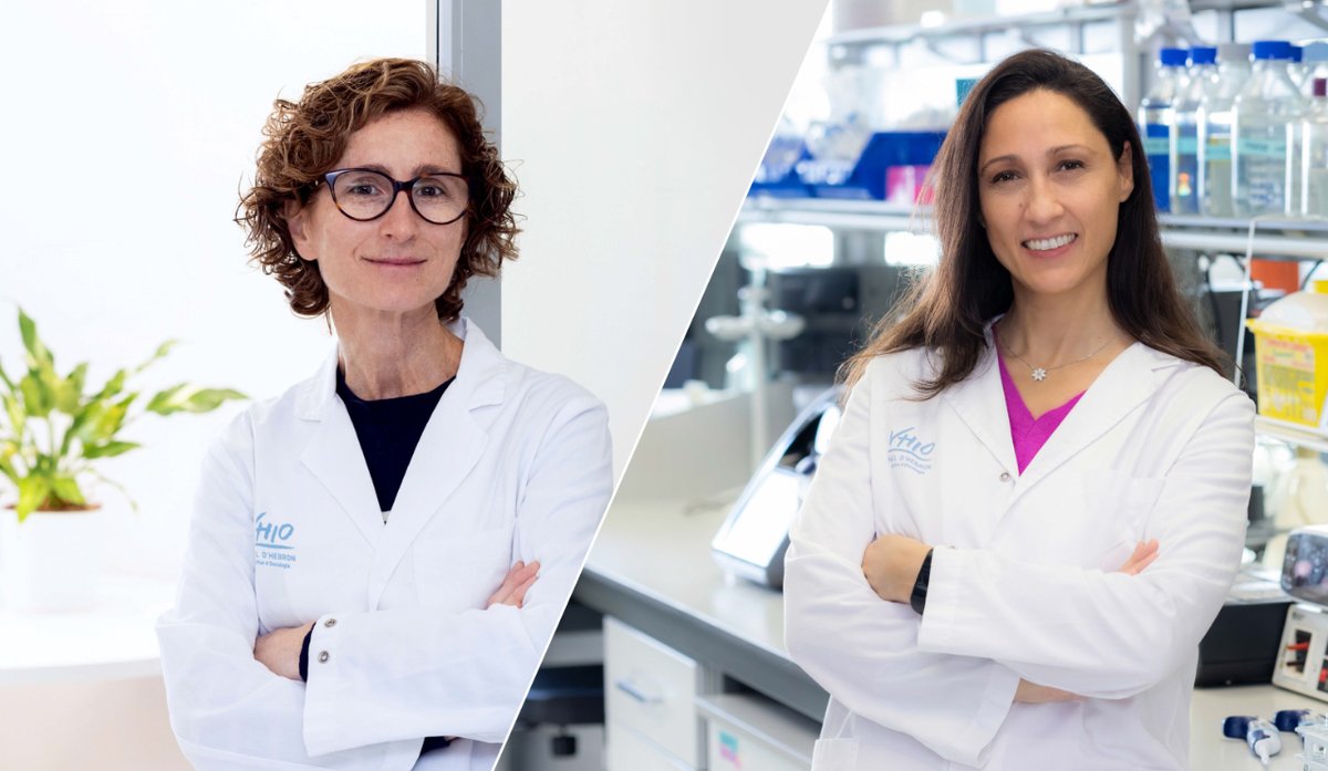 🟢  Luz verde al ensayo de fase Ib del fármaco Omomyc, desarrollado por <a href="/Peptomyc/">PEPTOMYC</a>, en pacientes con cáncer de páncreas metastático.

➕ linke.to/FaseIBOMOMYC_V…