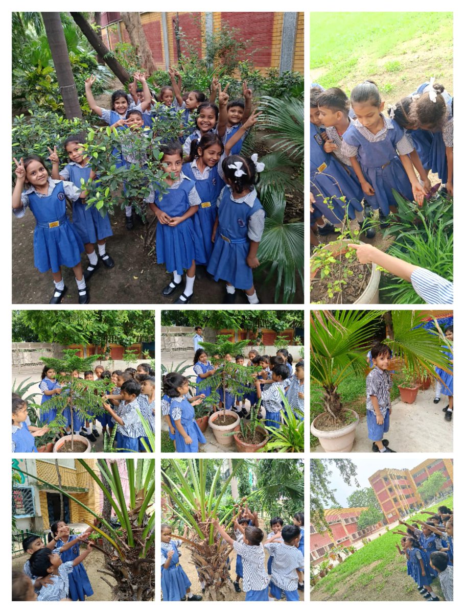 HosSkv's tweet photo. Little ones enjoying the Nature@ SKV Pandara Road https://t.co/pc0wmNvYo8