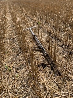 HDCAgronomy's tweet image. Wheat harvested? Time to book your soil sampling!

Check your records, are your soil samples up to date? Now’s the time to get those wheat fields on the books for sampling!