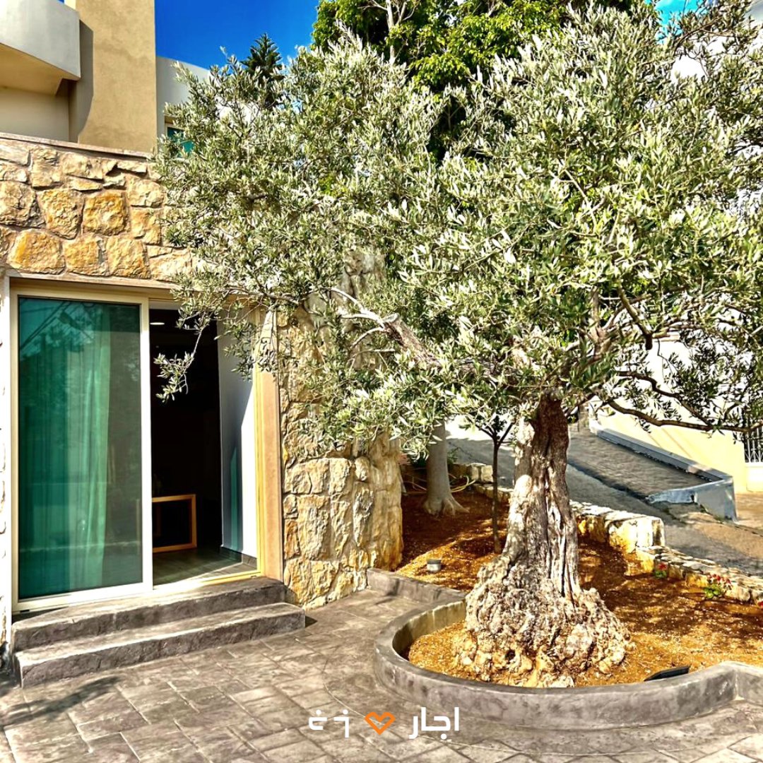 ajarcasa's tweet photo. A charming hideaway in Batroun, with a sea view terrace and easy access to the city's best attractions. 🎨✨
>> https://t.co/OBkke4ZjtW
.
#ajarasa #ajarmemories #batroun #affordableoption #traveler #experiencethebest #batrountravel https://t.co/v7dvf0Hh6x