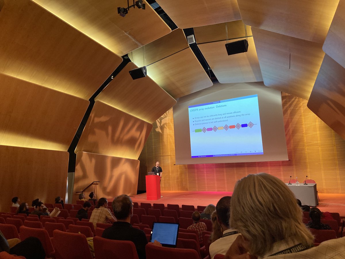 Lena Morrill tweet media