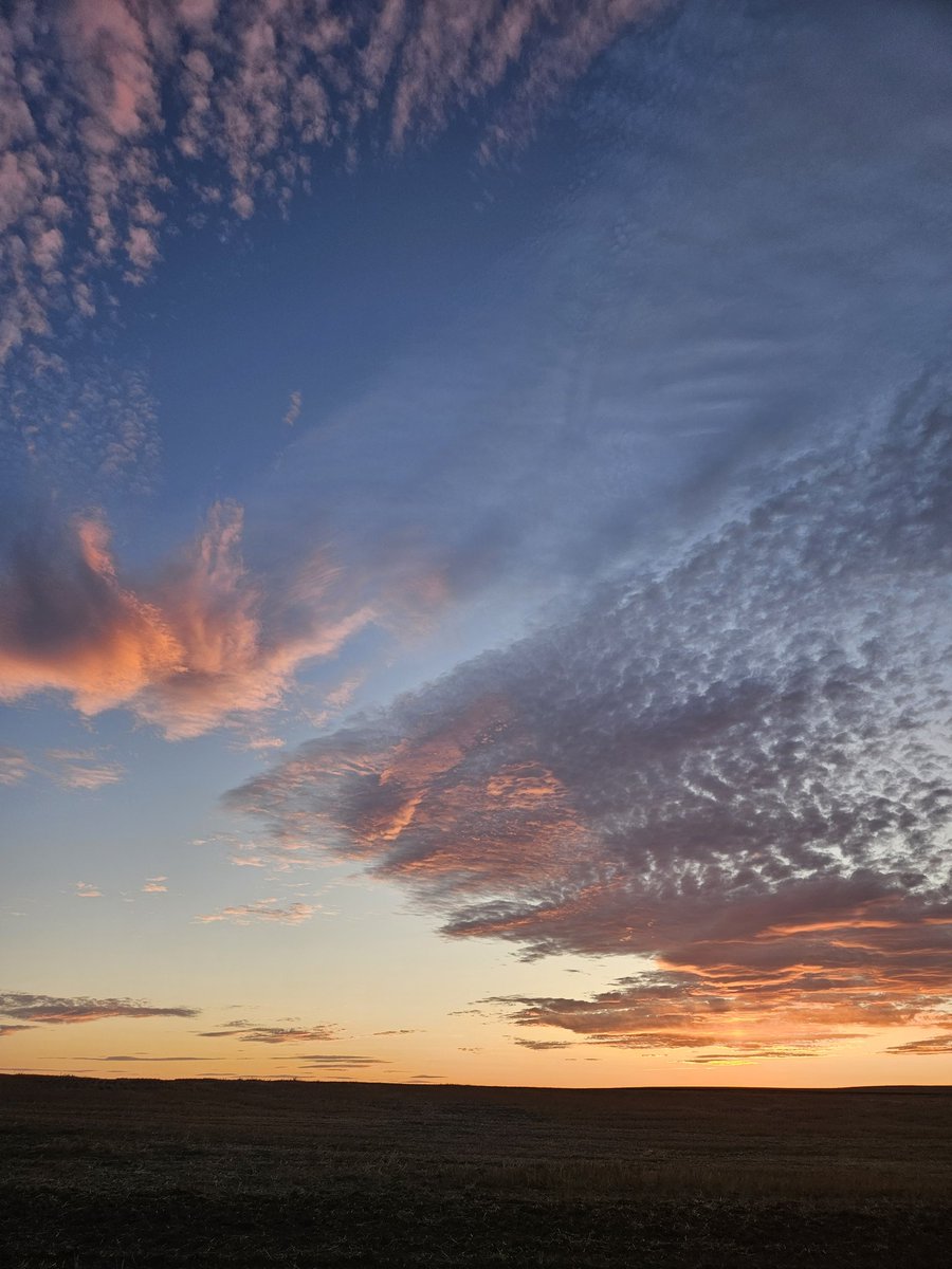 atThornhollow's tweet photo. .
#sunsets #sunsetphotography #sunsetlover #sunset_hunter #sunsetchaser #total_sunset #sunsets_captures #sunsetsky #cloudphotography #cloud_captures #cloudscapes #orangesky #landscape #landscapephotography #landscapecaptures #pnw #pnwphotography #pacificnorthwest #easternoregon https://t.co/gOb4IQpVeQ