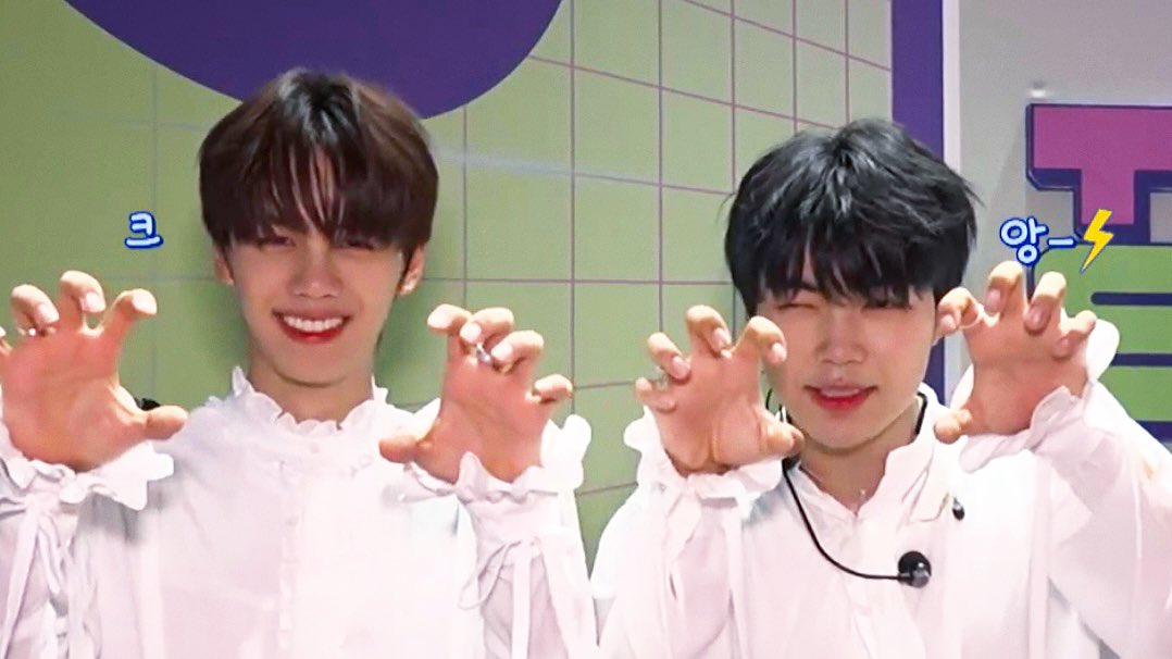 로즈 tweet media