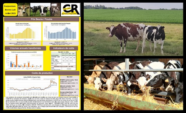 ⚡️Nouveau ! Retrouvez la note de conjoncture de la <a href="/CR_Lait/">Section lait - CR</a> ! Prix du lait, collecte, indicateurs... Pour tout savoir sur les marchés, rendez-vous sur : coordinationrurale.fr/images/section…
Recevez la note tous les mois, en vous abonnant à la newsletter (gratuit):
coordinationrurale.fr/sections/lait/