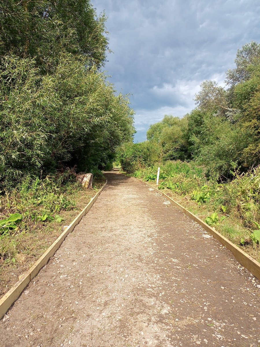 GreenwaysProj's tweet image. Lots more work done on the river path at Sproughton Nature Reserve, thanks to our wonderful volunteers! The end of phase one is in sight! @IpswichGov @BaberghSuffolk @WildIpswich #volunteers #pathwork #sproughton #rivergipping