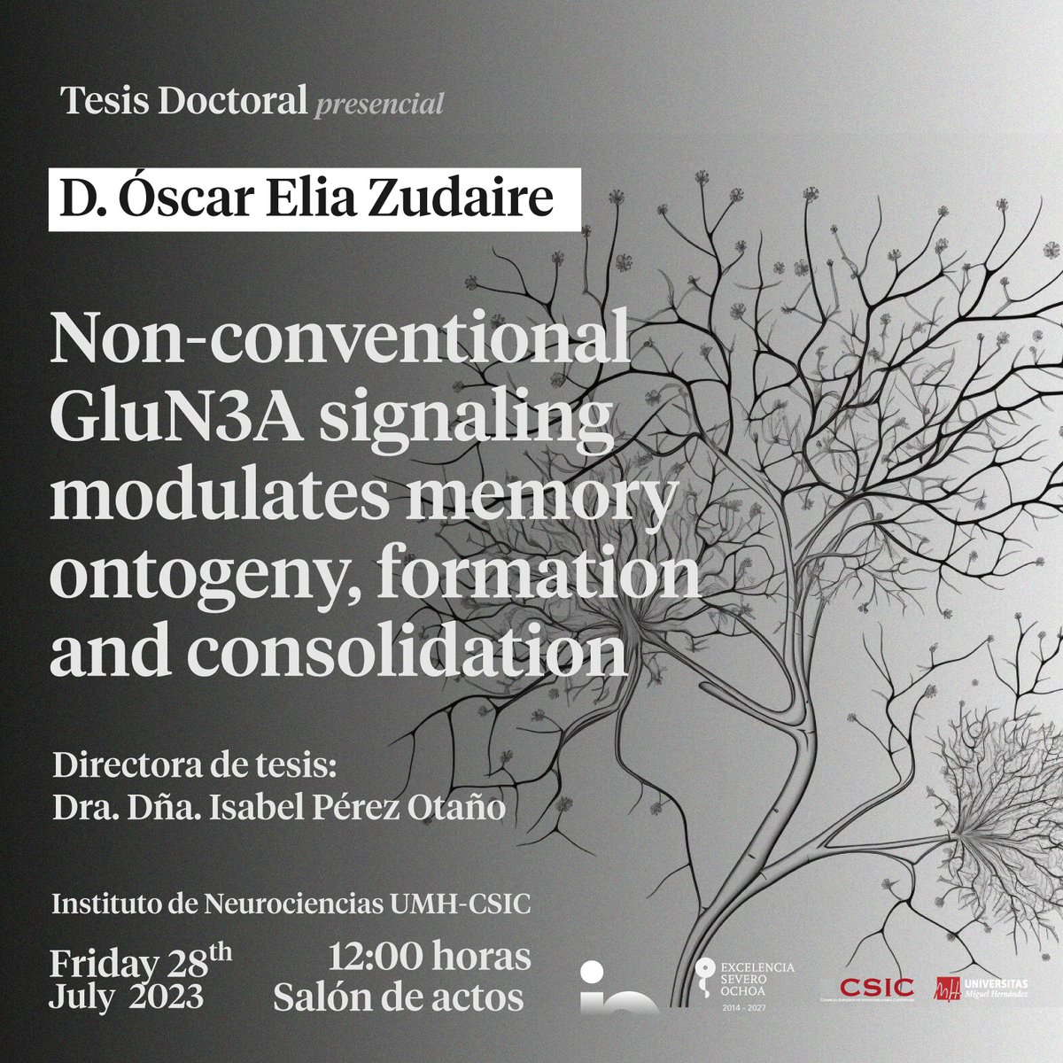 Instituto de Neurociencias UMH-CSIC tweet media