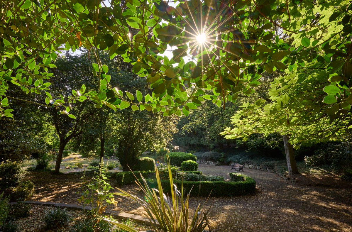 City of Doncaster Council tweet media