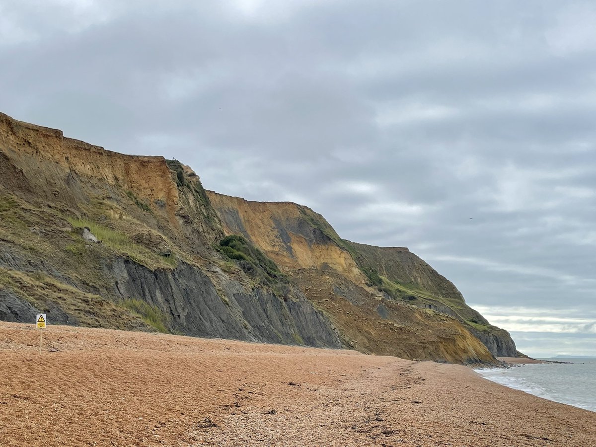 Kate Newby tweet media