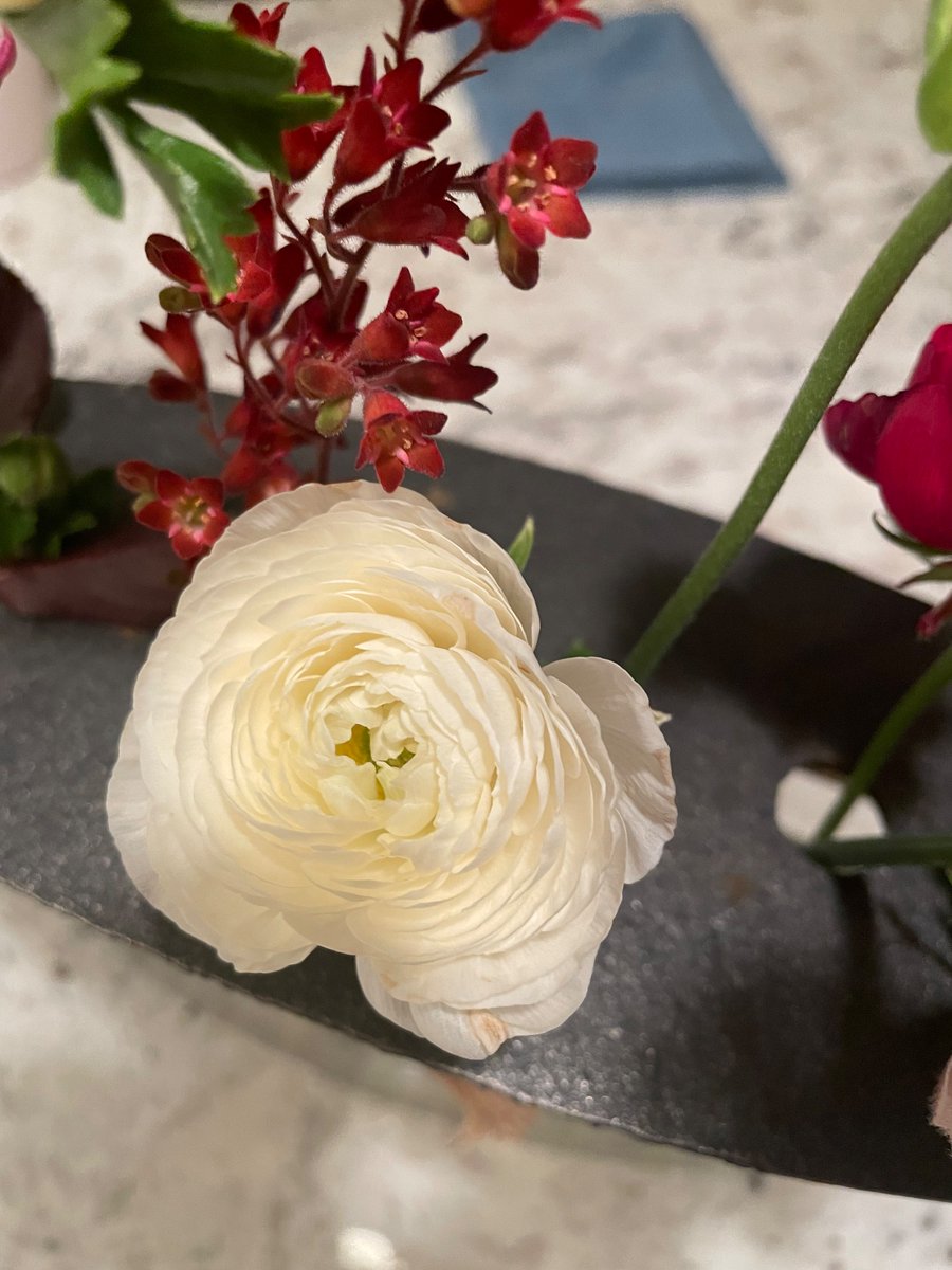 annee22's tweet photo. My ranunculus are blooming and I cut some other flowers from my garden for the vibes. https://t.co/khjeCaB5T8
