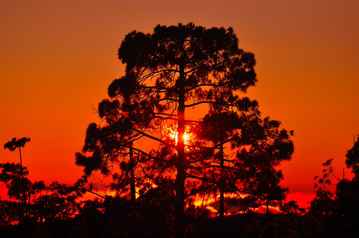 Wag2kP's tweet photo. another #Stunning #Sunset 
#teidenationalpark #Tenerife https://t.co/u1V0eymGet