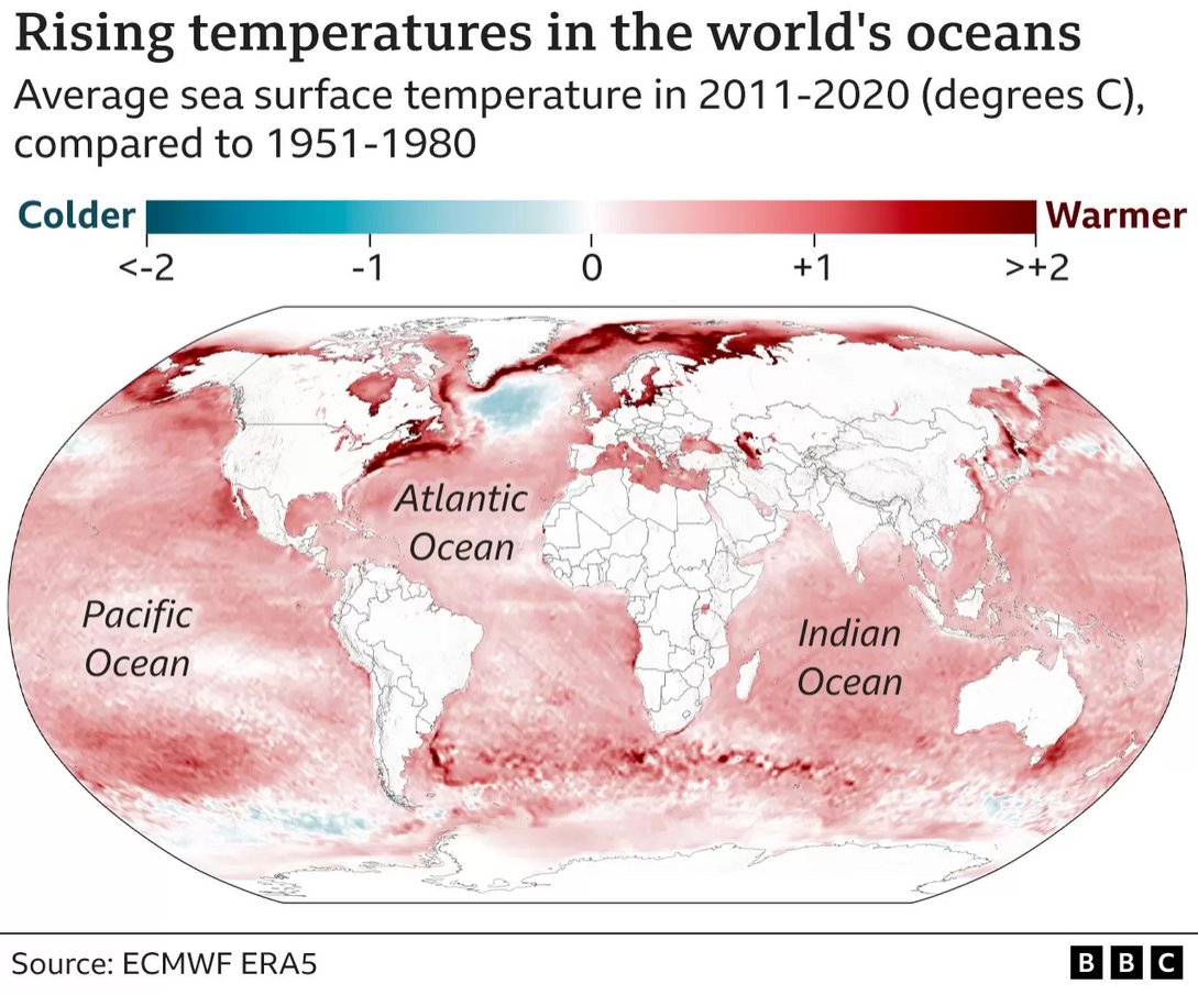 RealClimate: What is happening in the Atlantic Ocean to the AMOC?