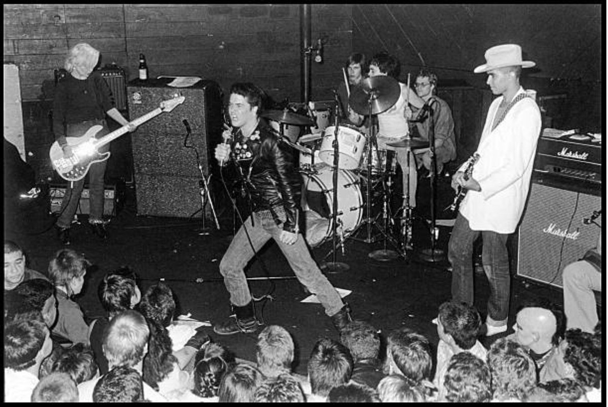 regular steve albini tweet media