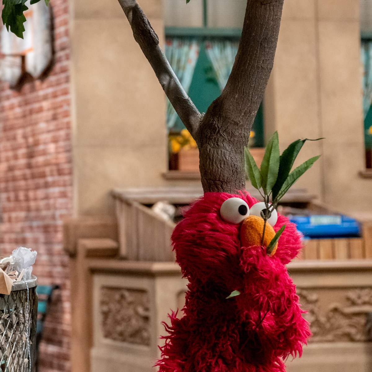 Elmo is playing hide-and-seek on @SesameStreet and Elmo found the best hiding place ever! They are never going to find Elmo here. 🌳🤫