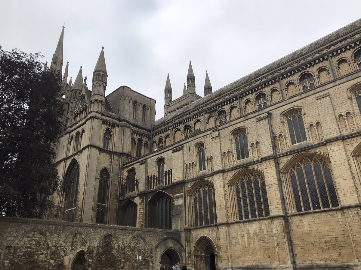 Clare Fazackerley tweet media