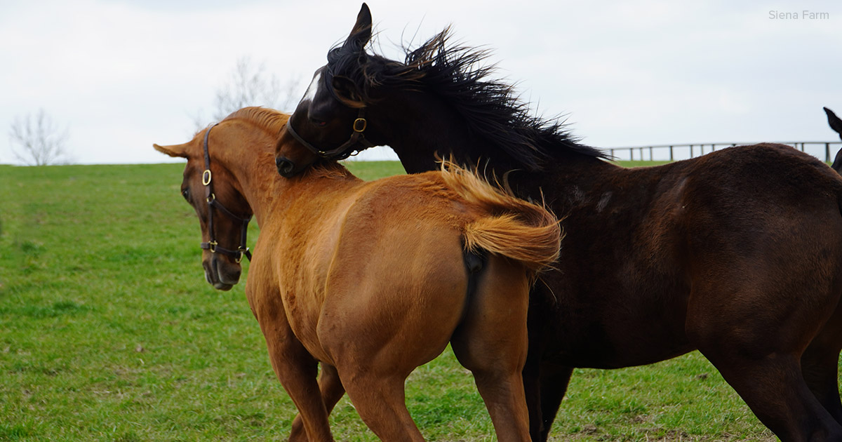 Chomp!

Don’t forget to share your favorite pic this week for #shareweek. Only 3 days to go before we show our winner!