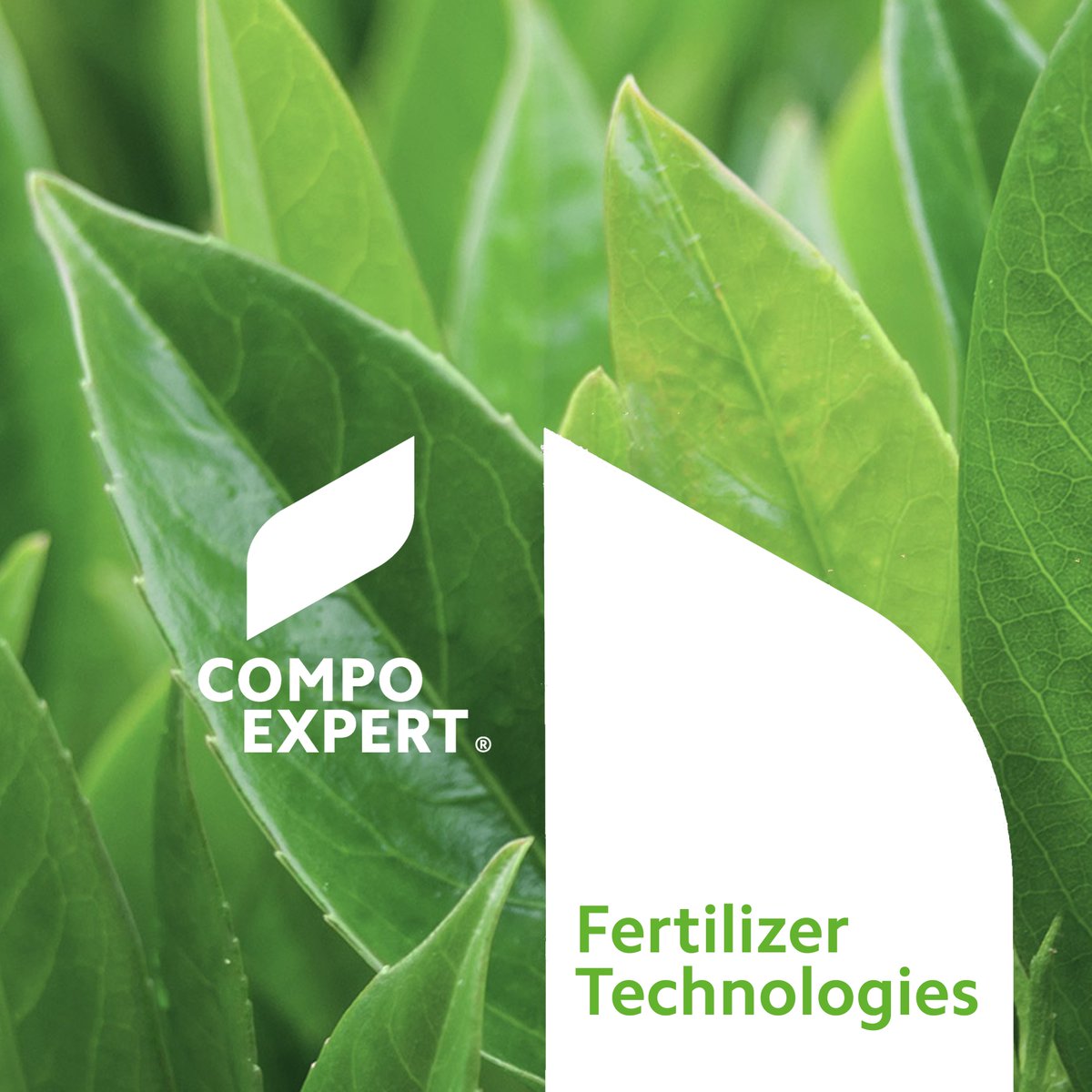 COMPOEXPERT_GR's tweet photo. 🌱 Basacote® technology ensures the long-term and continuous supply of nutrients for up to 12 months, and at the same time the homogeneous supply of macro- and micronutrients
#compoexpert #fertilizers #technology #basacote #agriculture #farming #expertsforgrowth https://t.co/bx59jzQ4tJ