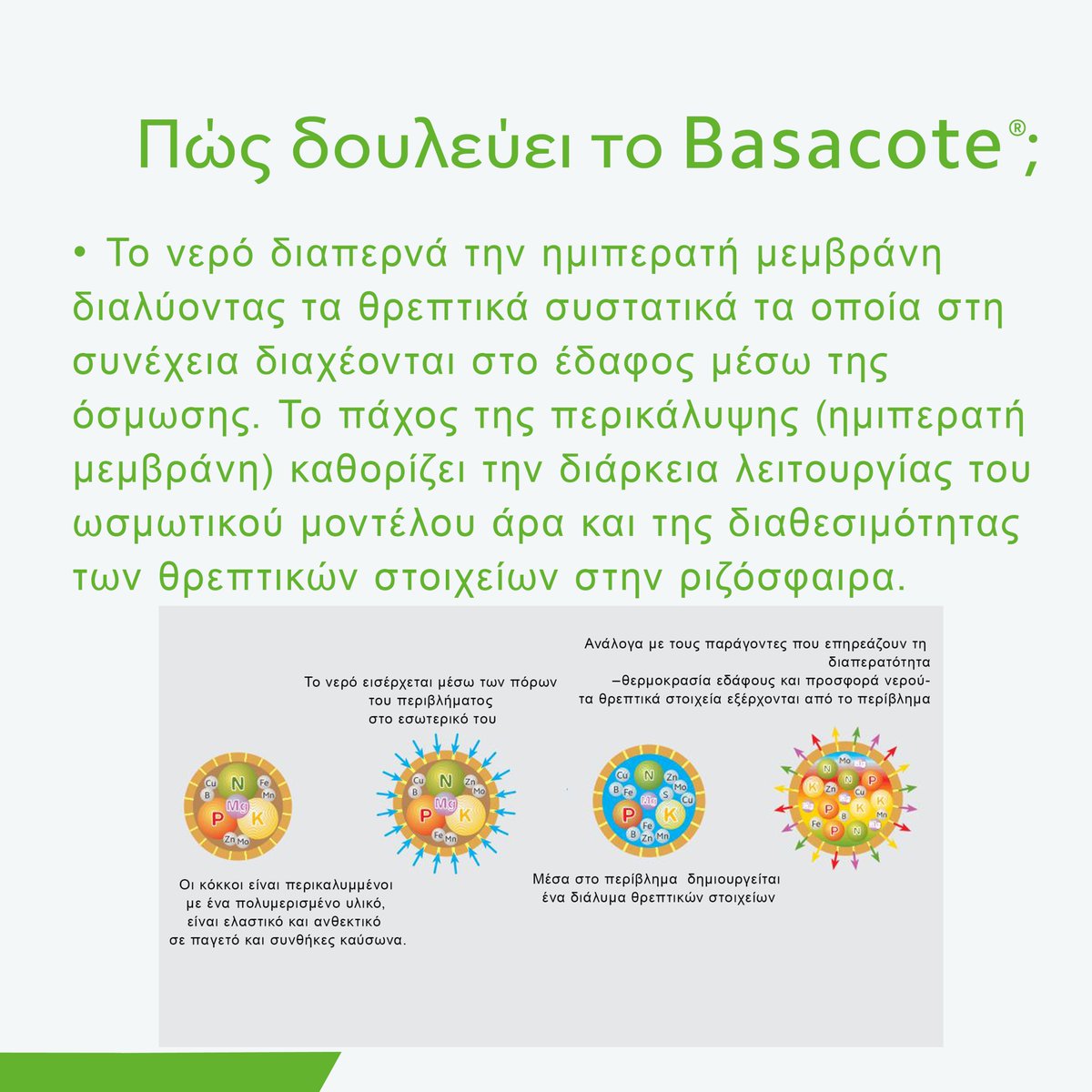 🌱 Basacote® technology ensures the long-term and continuous supply of nutrients for up to 12 months, and at the same time the homogeneous supply of macro- and micronutrients
#compoexpert #fertilizers #technology #basacote #agriculture #farming #expertsforgrowth