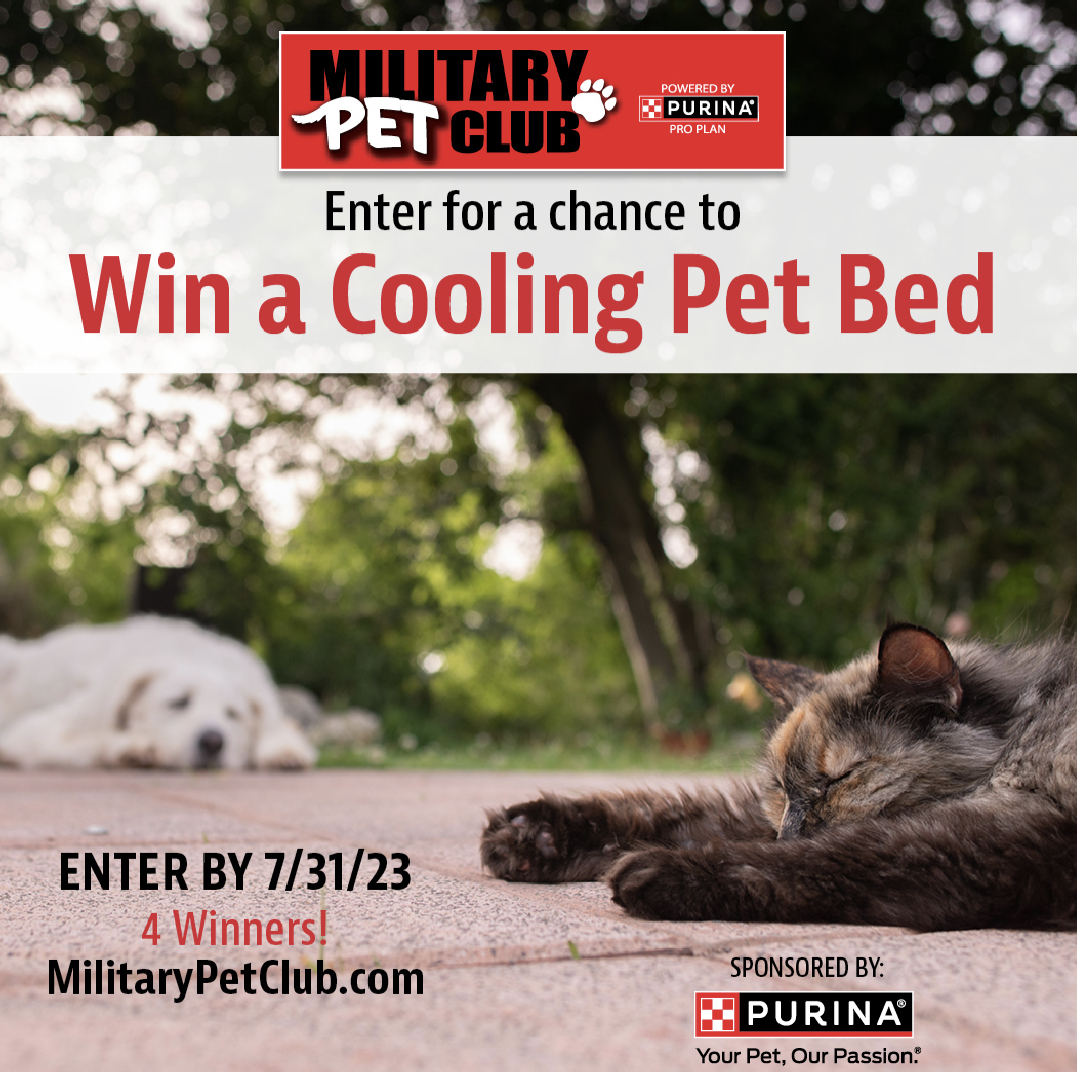 It’s about to be hot this summer ☀️ enter to win a cooling bed! 

Join The #MilitaryPetClub 🐱 🐶 and enter in now for a chance to win! 

Visit bit.ly/MilitaryPetClub to enter 
#dogs #military #militaryspouse #militaryhistory #militaryhomecoming @purina