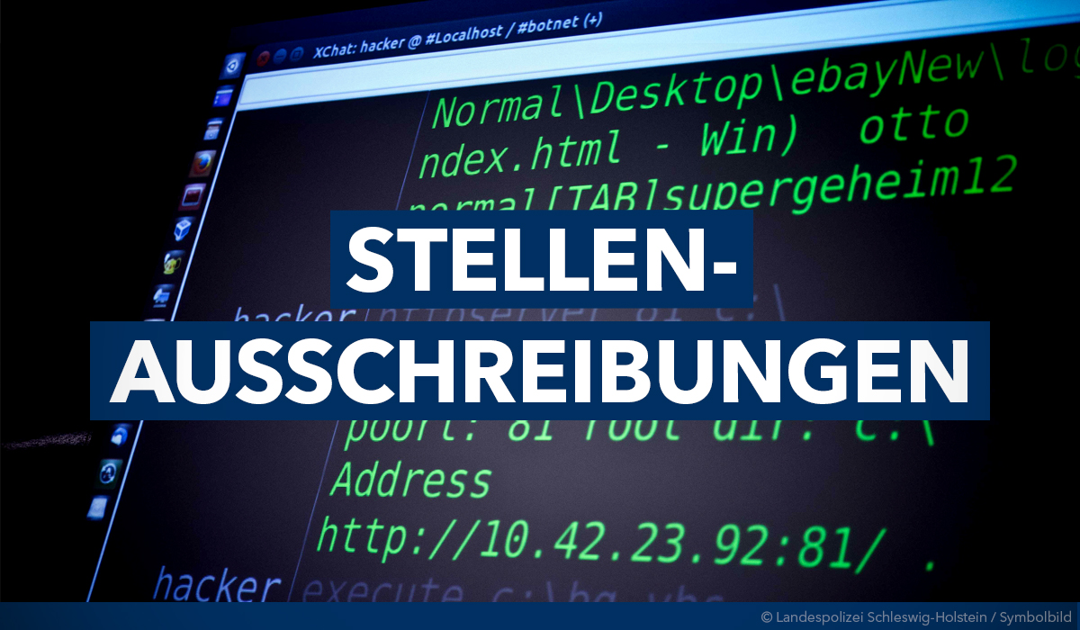 Polizei SH tweet media