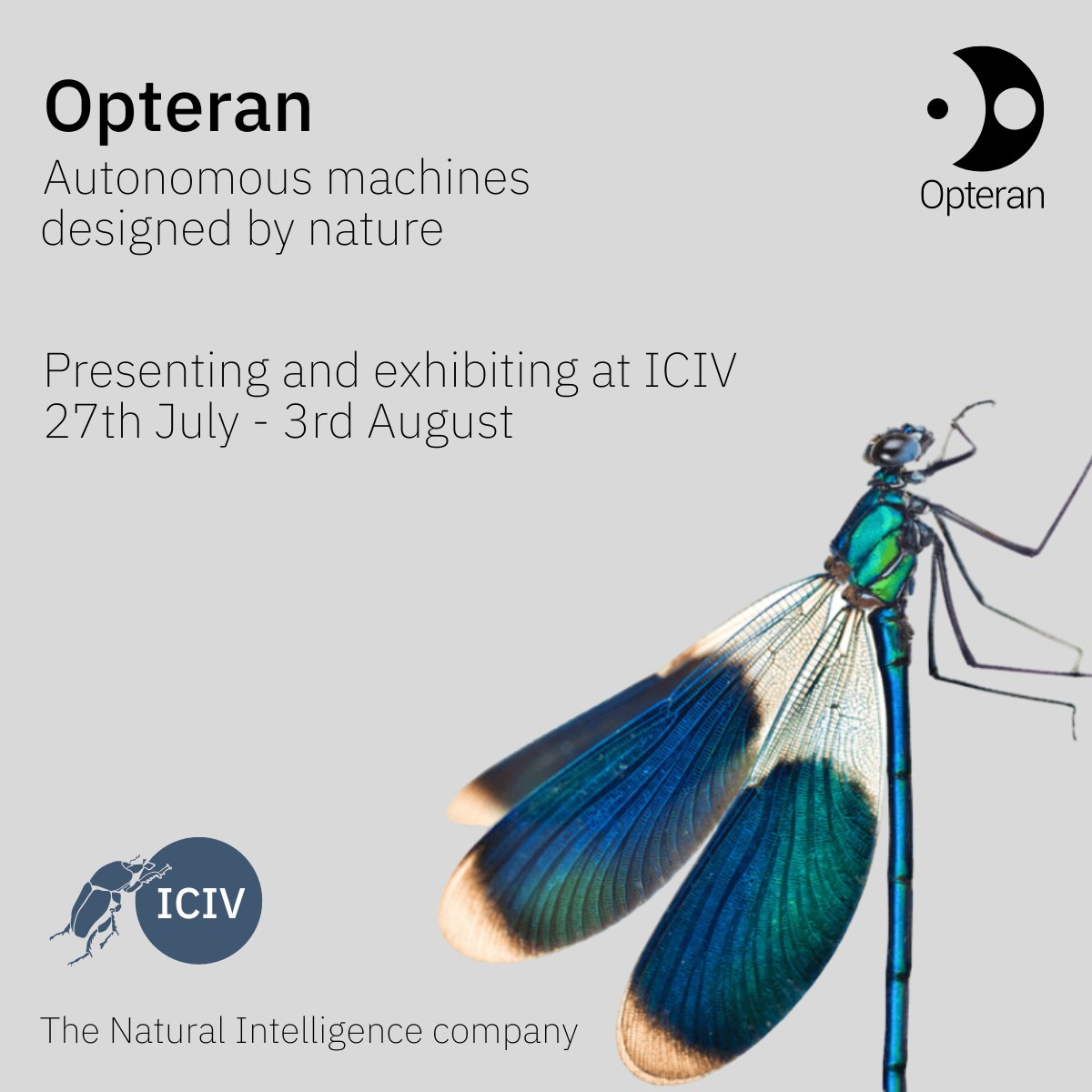 HaDi MaBouDi from @Opteran is attending ICIV to present his research on ‘How bees solve a pattern discrimination task using active vision’. Check it out if you are attending! #research #naturalintelligence #robotics #autonomoussystems #ICIV2023
