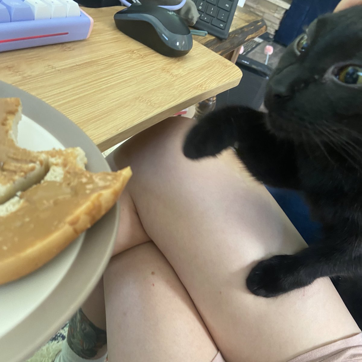 LouCoffeeBeans's tweet photo. please. just one taste of the bread and gluten for me (the bread boy) https://t.co/XwZhJm2jlH