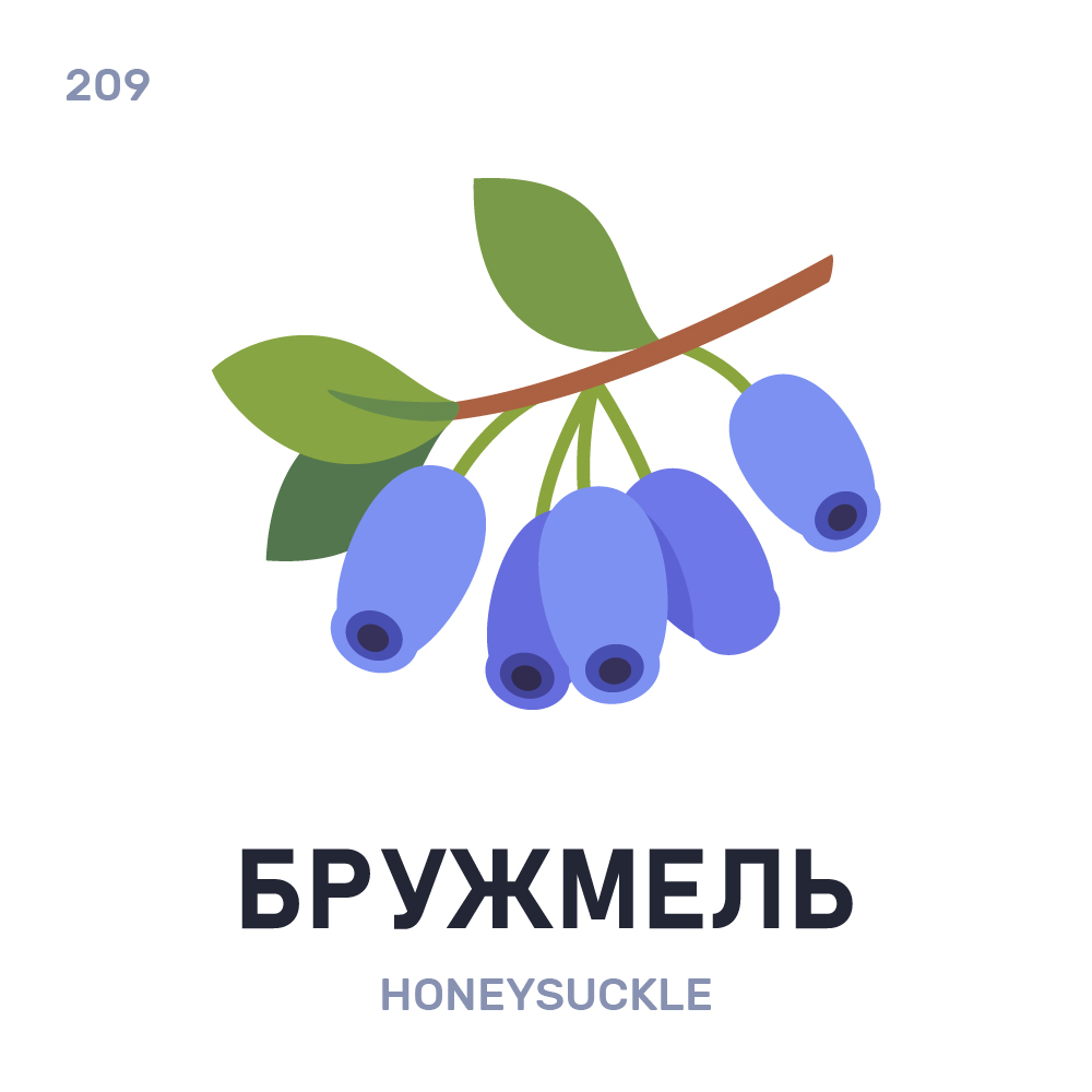 vandubovik's tweet photo. Бружмéль / Bružmieĺ / Honeysuckle

#беларускаямова #belarus #illustration https://t.co/ASSKuFyfgl