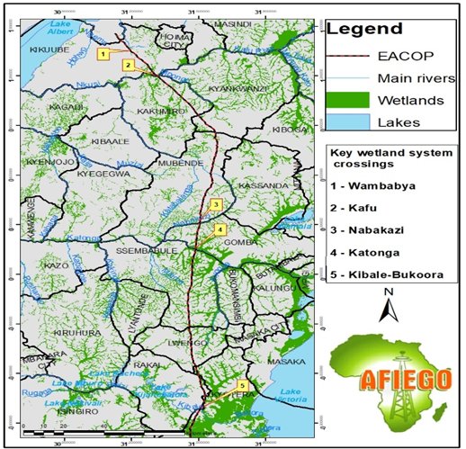 FORED ONG tweet media