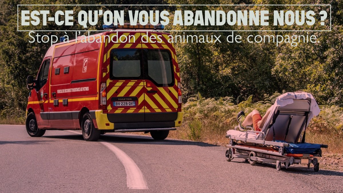 #StopAbandon | Chaque été, des centaines d’animaux sont abandonnés sur les bords de route.  

Alors, pourquoi pas nous ?