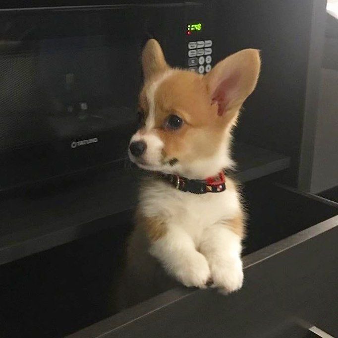 𝑬lliot (@yourelliotian) on Twitter photo 