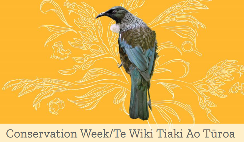 NZScienceTeachr's tweet photo. Students &amp; schools can organise an event taking action for te taiao in Conservation Week, Ākuhata 14-20, or see local events: https://t.co/Pietfbogia @NZScienceLearn @HelenOfTroy01 @karyngraynz @HelenHaine @NzMcKenzie @WhiteStarPrime @ChristensonDi @jackbillie35 @moriarty_ok https://t.co/wgbatytVHN