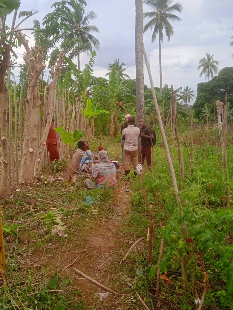 OngFADESIM's tweet photo. 25/07/2023 l @OngFADESIM à rencontré la coopérative #RIZI-YA-DAYIMA pour une séance de de sensibilisation sur les conséquences de l'utilisation abusive et non contrôlée des produits chimiques sur les cultures. Projet soutenu par @OMSComores pour une bonne sécurité alimentaire. https://t.co/P6Wg6Cfmse