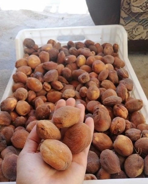cetkin44's tweet photo. Hayırlı cumalar Malatyalı emekçi canlar gün kurusu gibi tatlı bir gün olması dileğiyle 🍑🍑
#Malatya #Malatyalıyız🦋 https://t.co/ygp4rYnmJJ