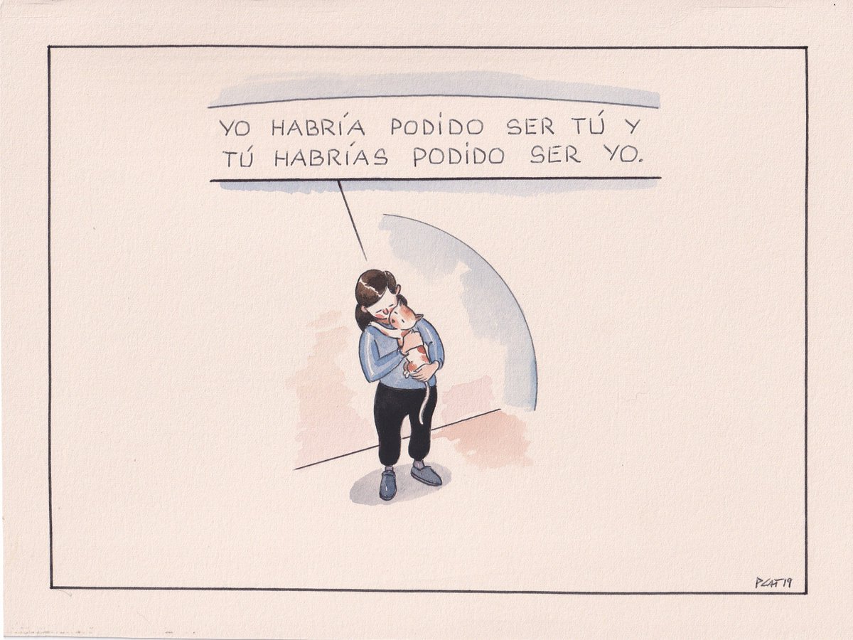 pacocatt's tweet photo. Mi viñeta de hoy. https://t.co/FU8RwLNz7y