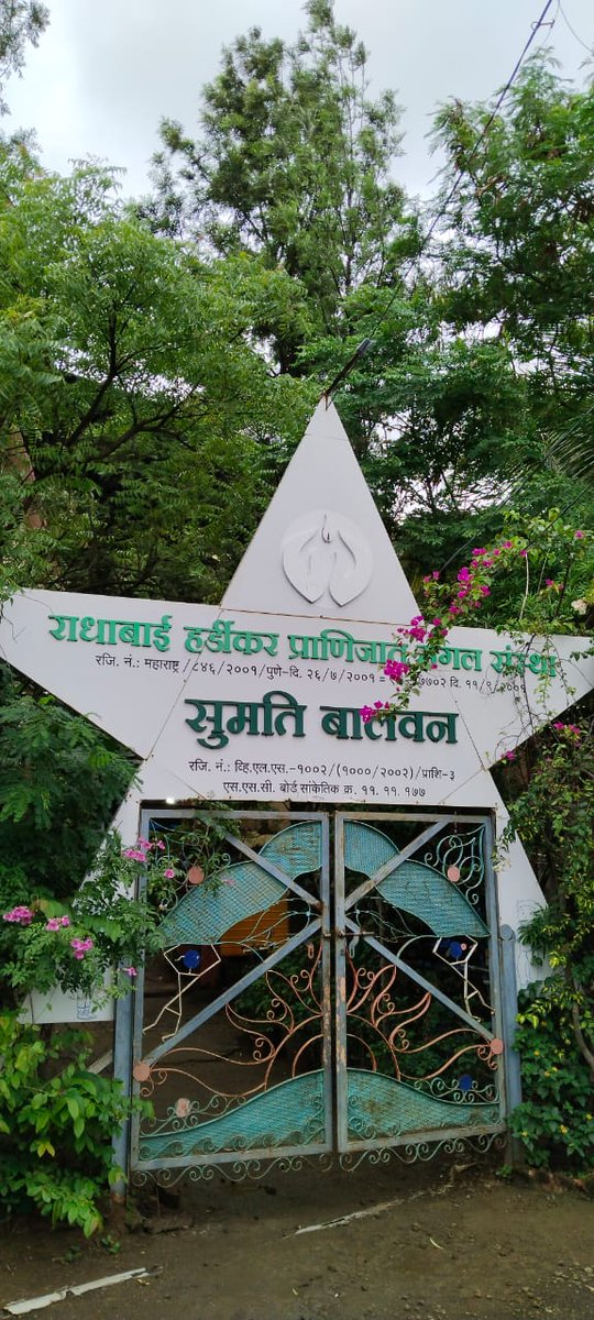 tellme_360's tweet photo. Students from Sumati Balwan School #Pune were filled with excitement and joy to go on a virtual trip through TellMeVR, from a thrilling Jungle Safari to an immersive experience of visiting  Raigad Fort, and finally, a captivating tour of Meghalaya.

@vsrinivasarao18 @ramakiyer
#VR #meta #VirtualReality #student #school  #virtualtrip #JungleSafari #Meghalaya #RaigadFort