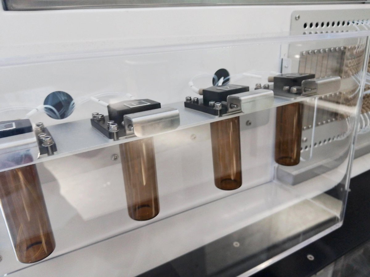 honyabiotec's tweet photo. 📢HY-12 Oligo Synthesizer
☑️12 Columns (6 0r 12 per run)
☑️25 nmol to 300 umol scale synthesis
☑️Standard with 12 amidite positions, up to 20 positions
☑️Low reagent consumption, 9 reagent positions
☑️Built-in PC, user-friendly control software
#oligosynthesis #dnasynthesizer https://t.co/A23mTLFZSm