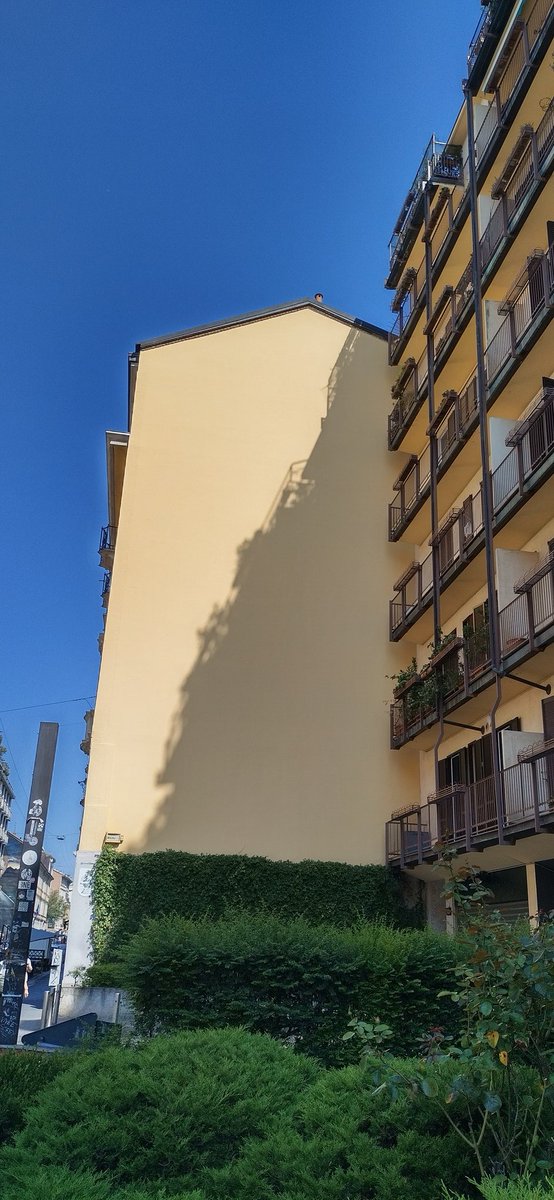 Guillaume Mitsch tweet media