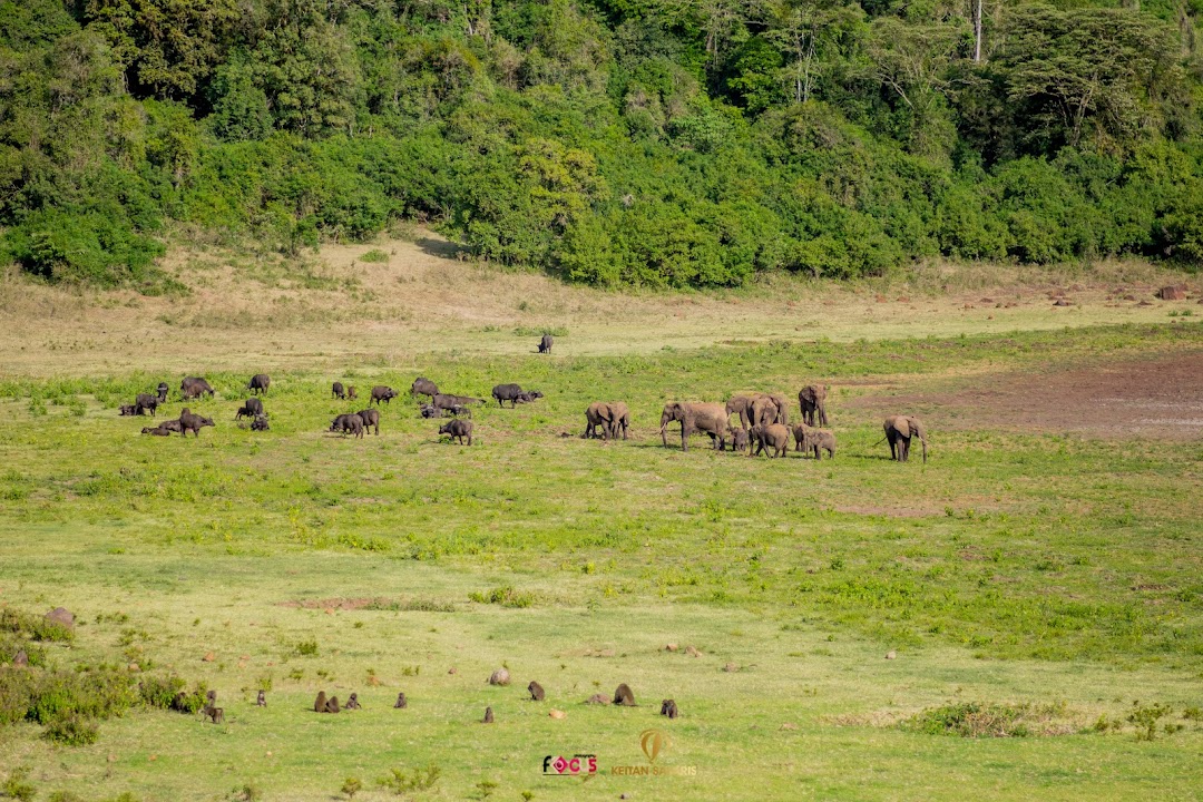 KOhweknow's tweet photo. They say dont judge a book by its cover! The word Marsabit most often resonates with drought and hot weather, but did you know that Marsabit has a park ? Yes, a park that is Lush green all year round with wild animals, including elephants. The park also  hosts L. Paradise . https://t.co/E8ea5CZPEC