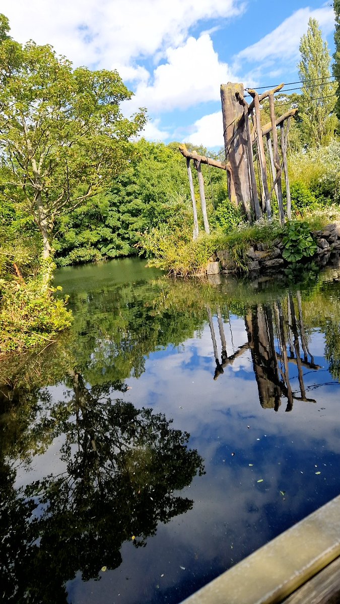 Holistic Healthcare Ireland HHCI tweet media