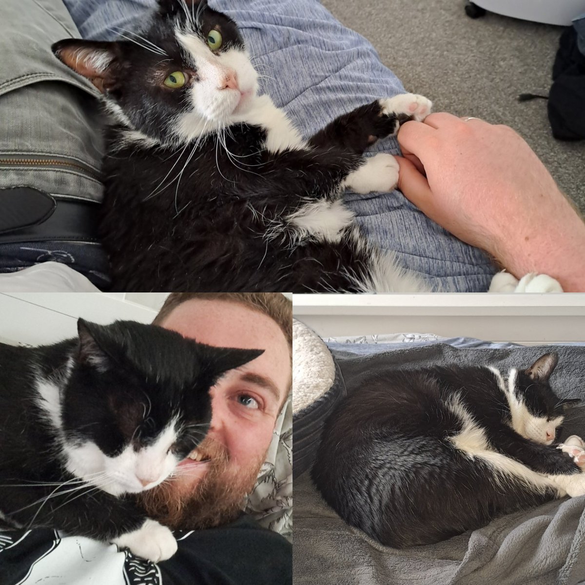 dagra2's tweet photo. Absolutely heartbroken. My best bud had to be put to sleep last night. 

I think I'll miss you forever, Max 💔 https://t.co/fF9c7oHOvF