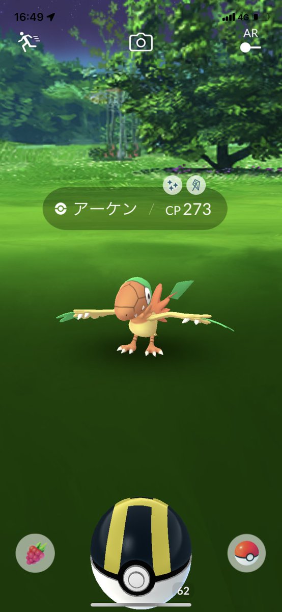 やっとキター！
あとはチゴラスとアマルス😆
頑張ろーっと！

#ポケモンGO
#色違い
#チゴラス
#アマルス
#アーケン
#アドベンチャーウィーク