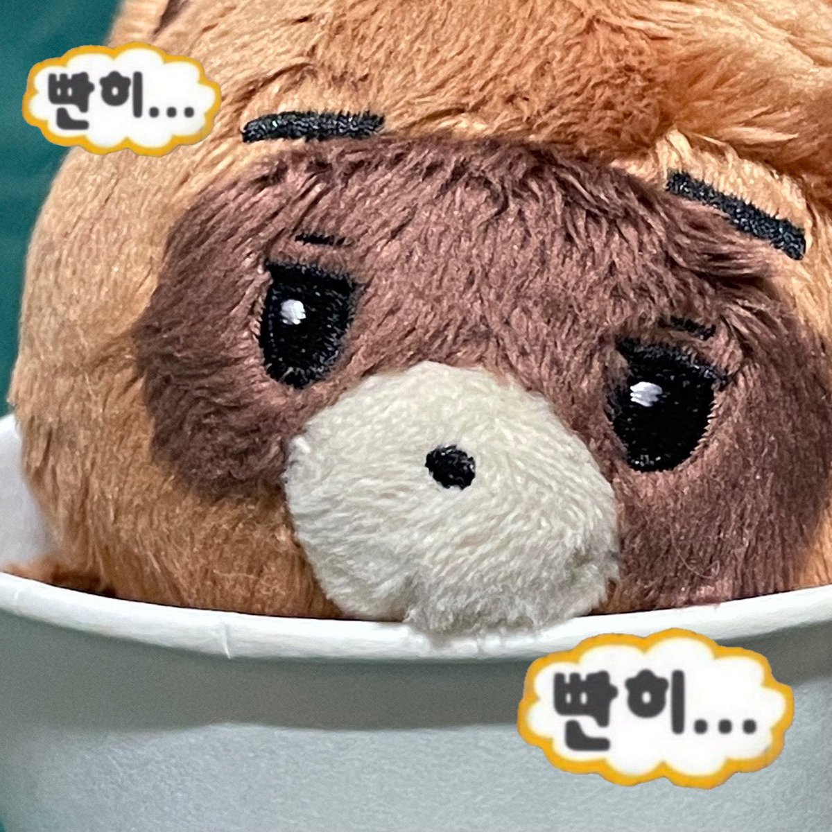 솜씻선2 tweet media