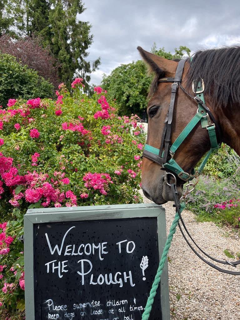 CheltBeerWeek's tweet photo. The Plough Prestbury is everything you could want from a traditional village pub. Beer is served straight from the cask &amp;  it has a fabulous range of ales and cider. It’s a Summer favourite with a 1 acre garden &amp; play equipment. It also boasts a real fire in its cosy tap room. https://t.co/NRcWz70gLS