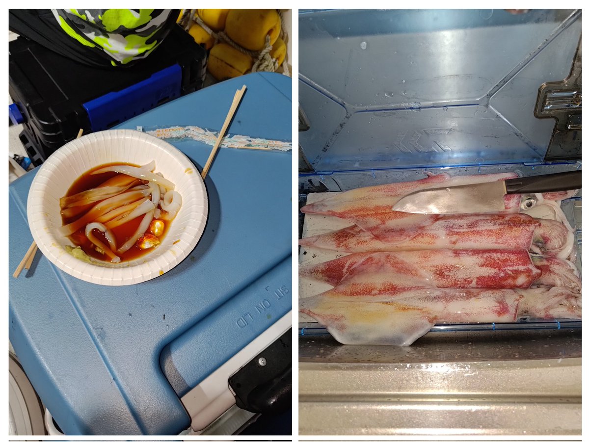 abe2him's tweet image. 前回しょぼしょぼでしたので…昨日はリベンジアカイカでした！
大剣四本と中小32杯ほど
年々減ってますが海の環境ですかね…
釣りたてを船上でいただけたので大満足でした☆