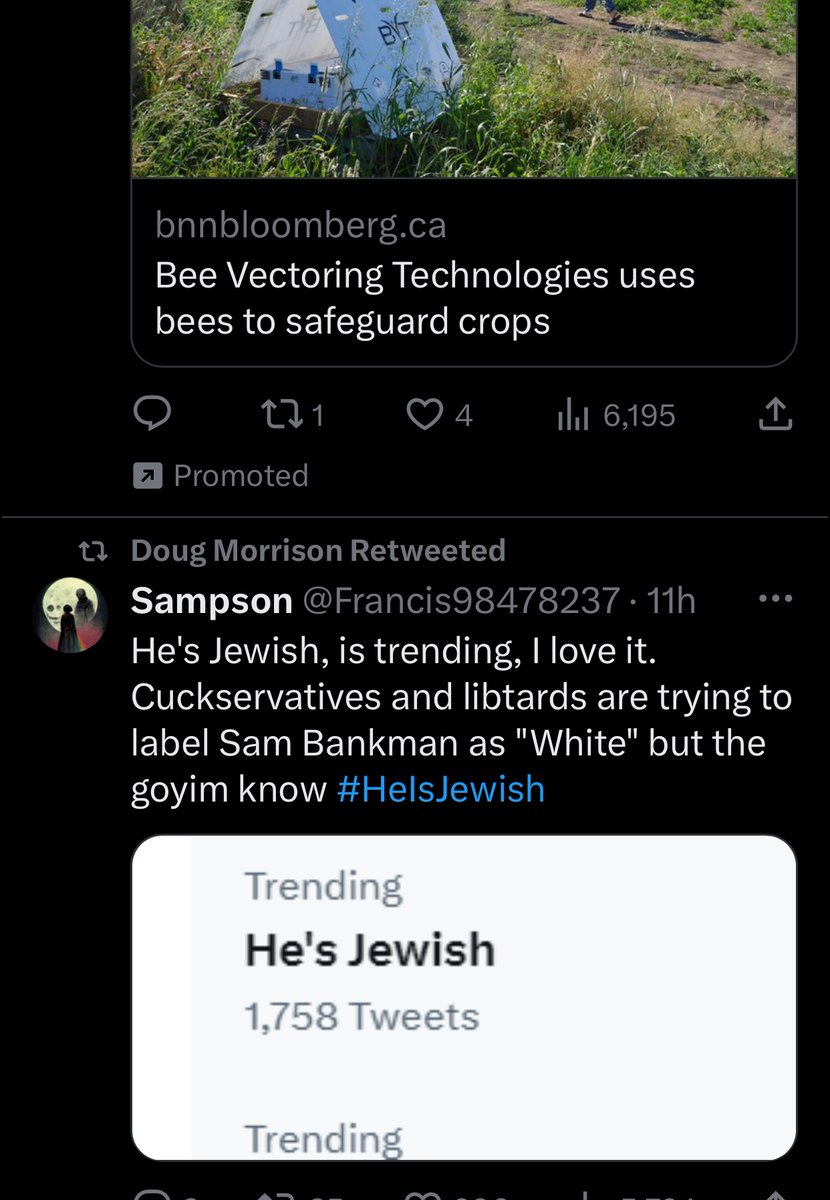 @BeeVTech @BNNBloomberg Thought you should know where your Twitter ads are showing up...